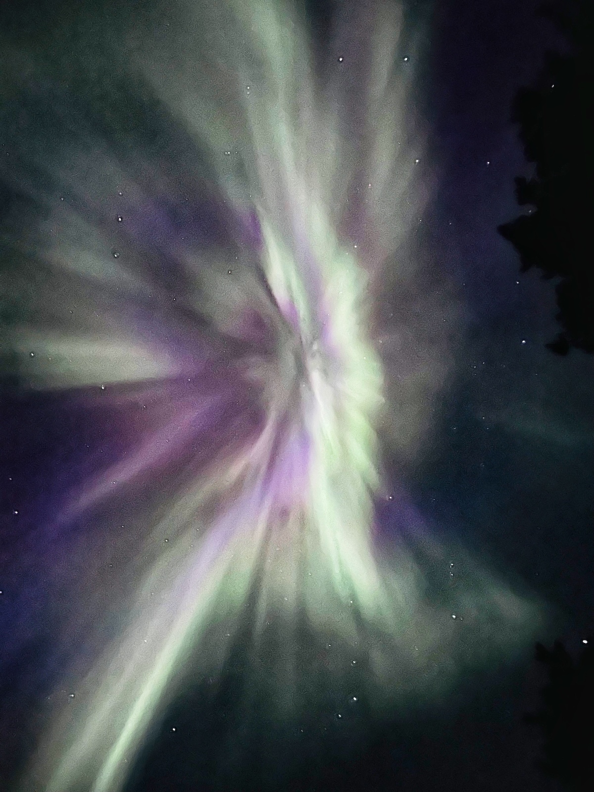 Auroraborealis